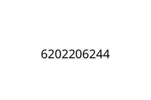 6202206244