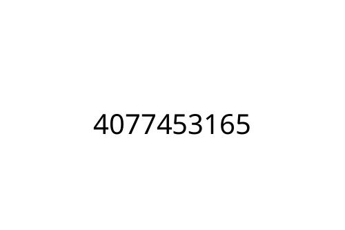4077453165