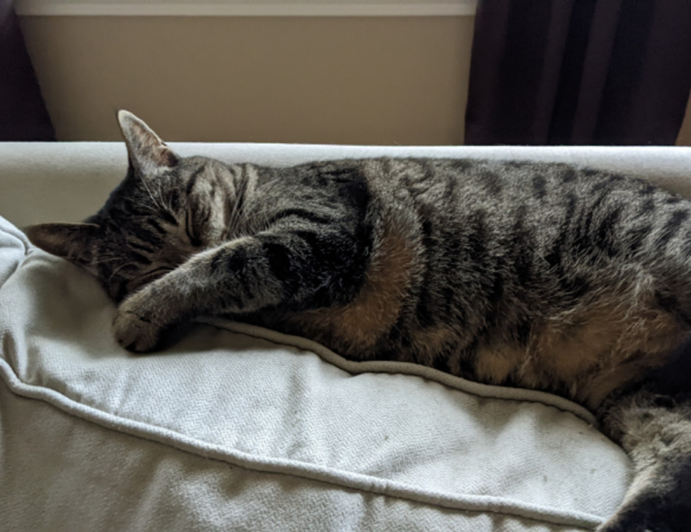 architecture kdainteriorment