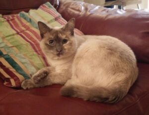 architecture plans kdainteriorment