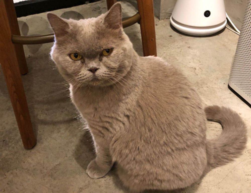 how architecture has changed over time kdainteriorment