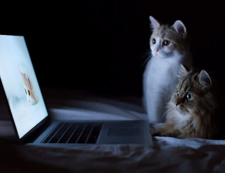 what makes architecture unique kdainteriorment