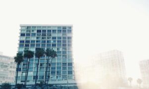 chabuca granda dibujo animado