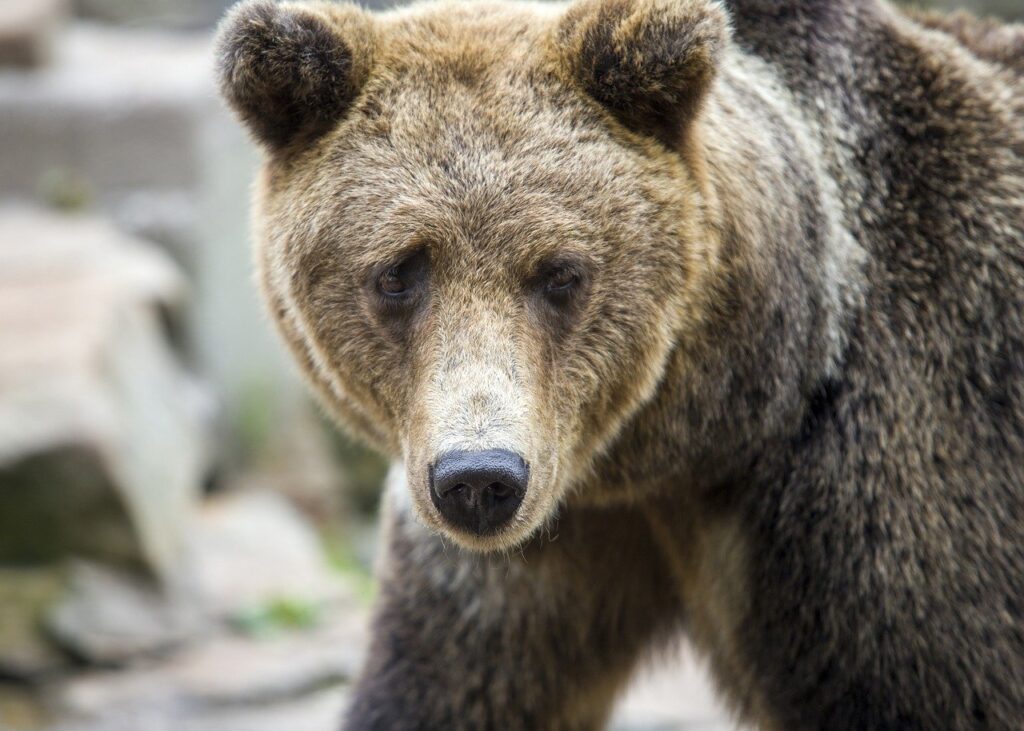 fudo.cl iniciar sesion