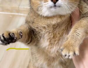 kevin olguin instagram