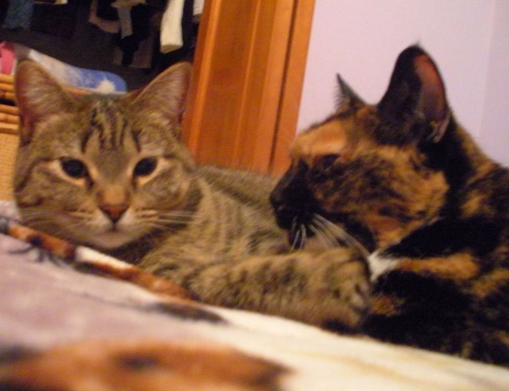 miss marie elisabeth