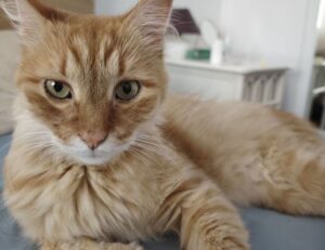 taylor swift ugly photos