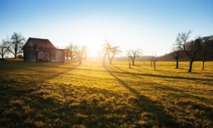 vestuario alejandra guzman 90s