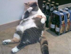 yali capkini sub indonesia lk21