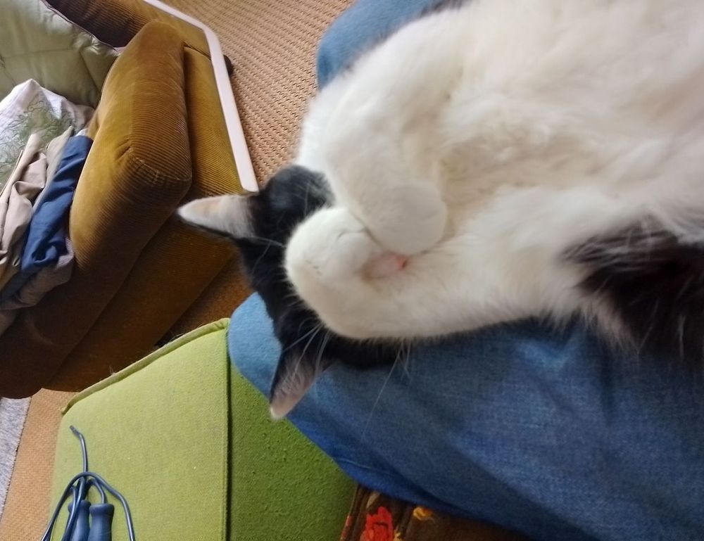 yina calderon only fans