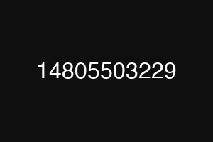 14805503229