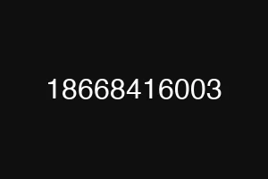 18668416003