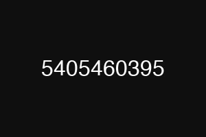 5405460395