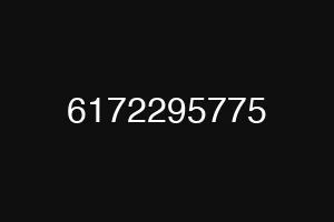 6172295775