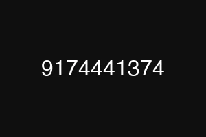9174441374