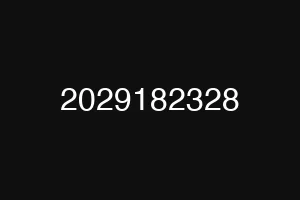 2029182328