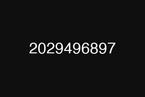 2029496897