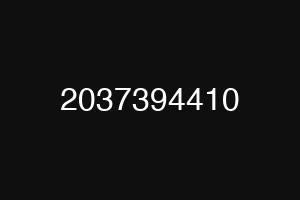 2037394410