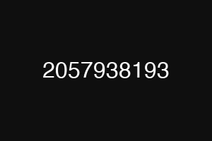 2057938193