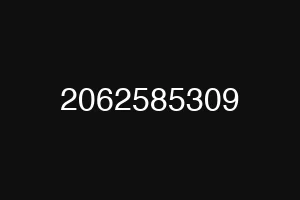 2062585309