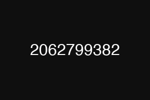 2062799382