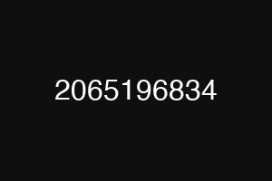 2065196834