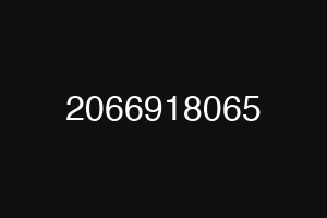 2066918065