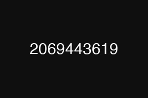 2069443619