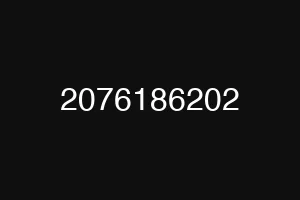 2076186202