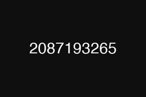 2087193265