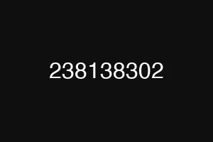 238138302
