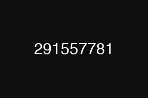 291557781