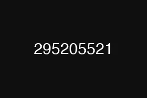 295205521