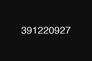 391220927