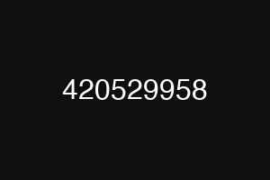 420529958