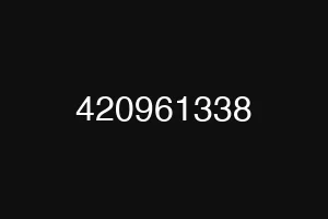 420961338