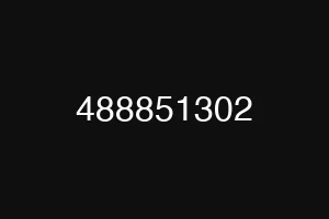 488851302