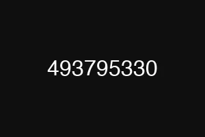 493795330