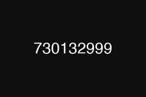 730132999