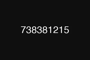 738381215
