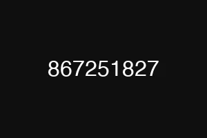 867251827