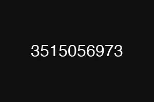 3515056973