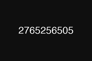 2765256505