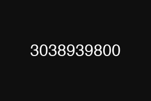 3038939800