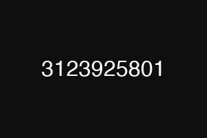 3123925801