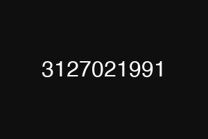 3127021991