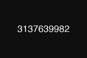 3137639982