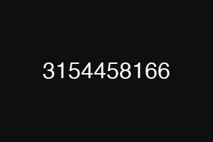 3154458166