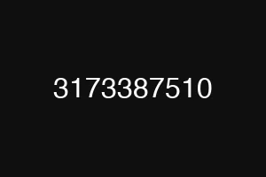 3173387510